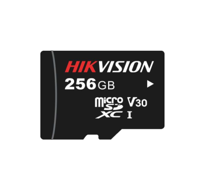HS-TF-L2 / 256G